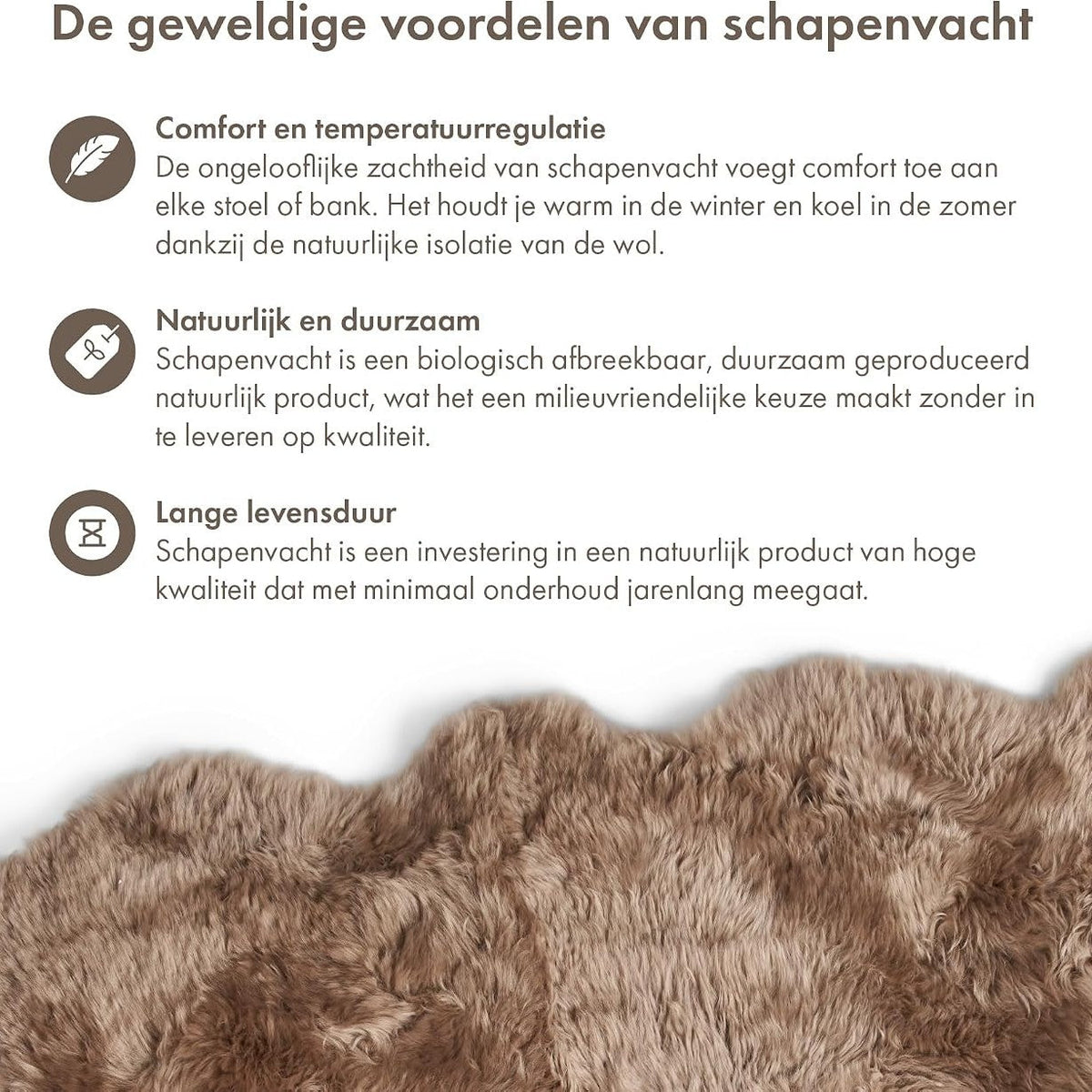 Dywan ze skór owczych Merino z długim włosiem 170x110 cm – Nordic Sheep