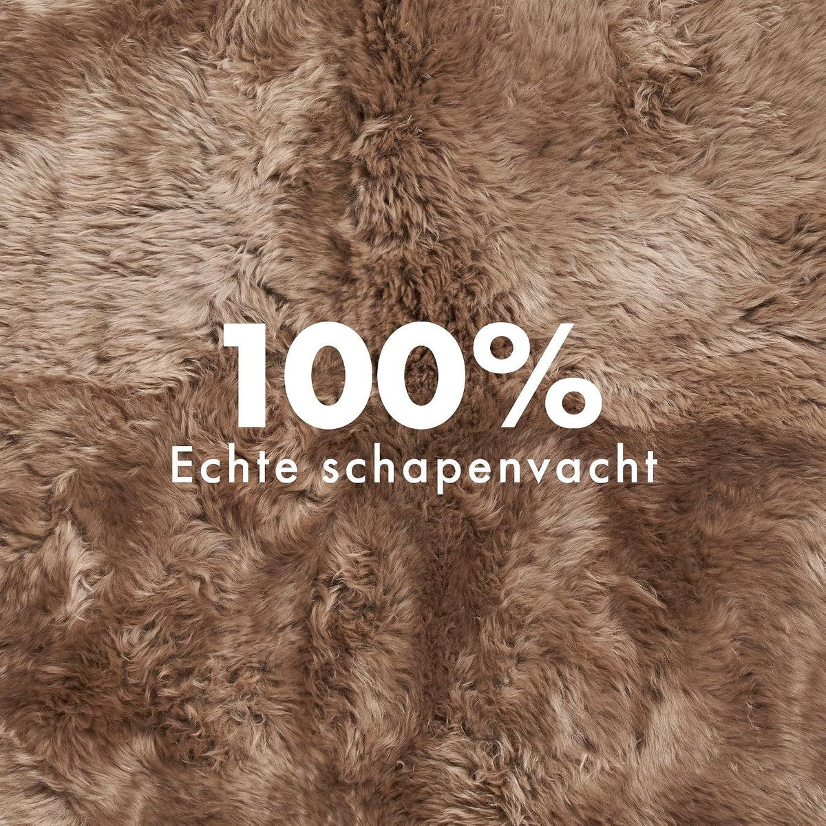 Dywan ze skór owczych Merino z długim włosiem 170x110 cm – Nordic Sheep